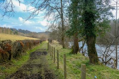 Walk photo