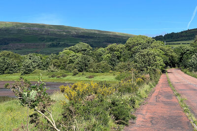 Walk photo