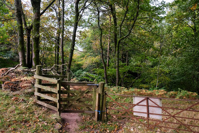 Walk photo