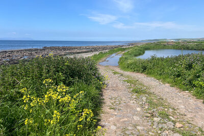 Walk photo