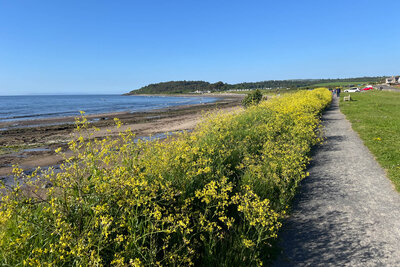 Walk photo