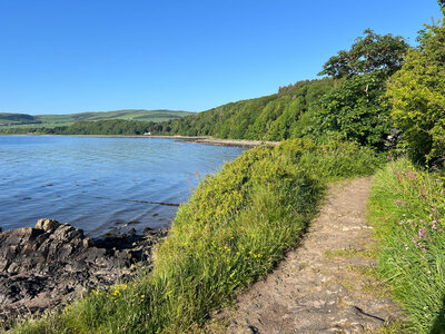 Walk photo