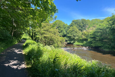 Walk photo