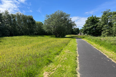 Walk photo