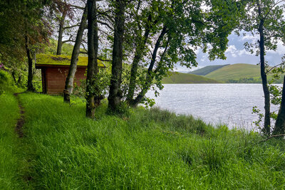 Walk photo