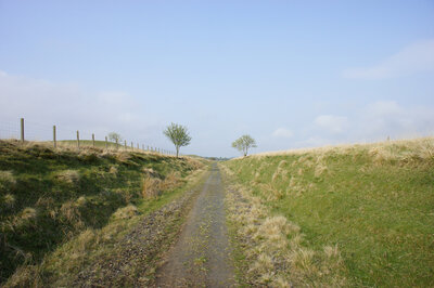 Walk photo