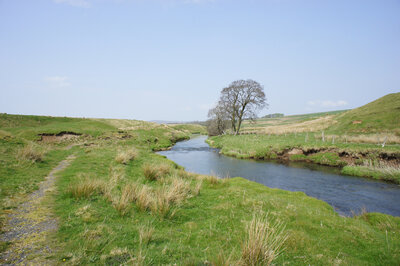 Walk photo