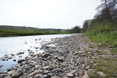 Walk photo