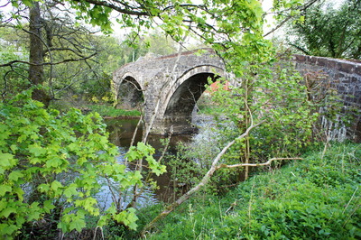 Walk photo