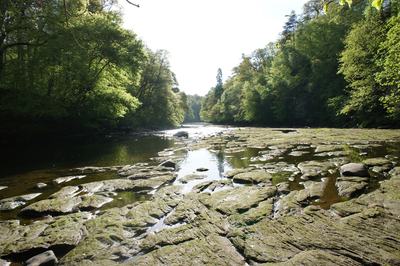 Walk photo