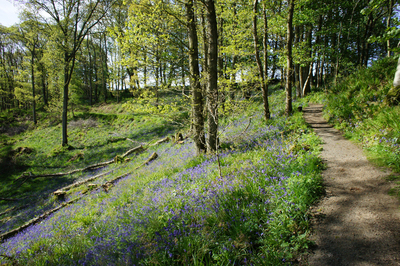 Walk photo