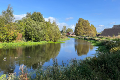 Walk photo