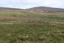 Carnedd y Filiast (Arenigs)