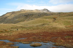 Cold Pike