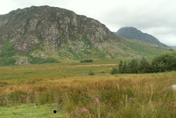 Gallt yr Ogof