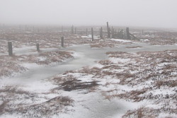 Middlehope Moor