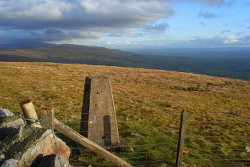 Thack Moor