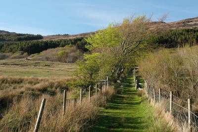 Walk photo