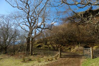 Walk photo