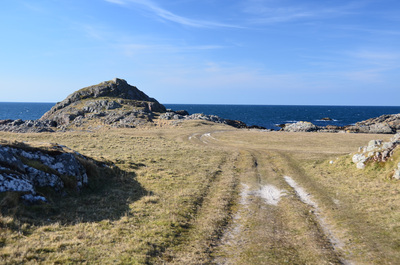 Walk photo