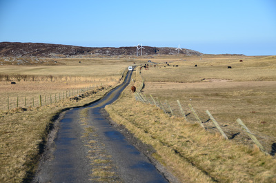Walk photo