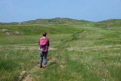 Walk photo