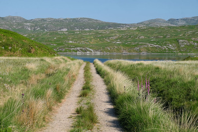 Walk photo