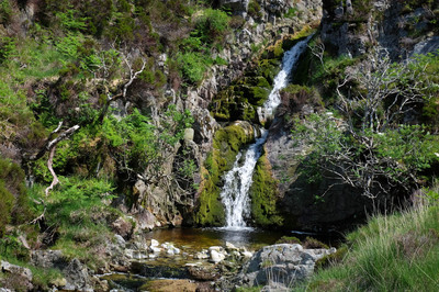 Walk photo