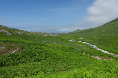 Walk photo