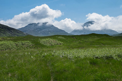 Walk photo