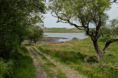 Walk photo