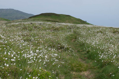Walk photo