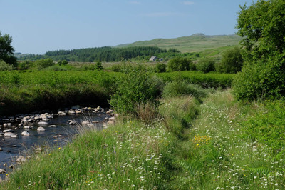 Walk photo