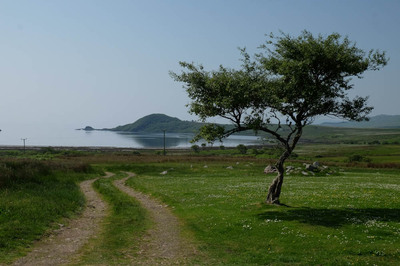 Walk photo