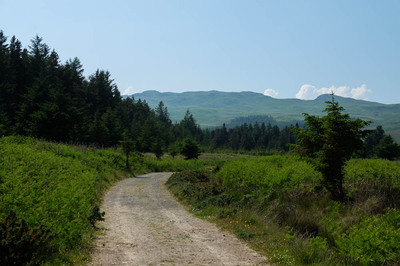 Walk photo