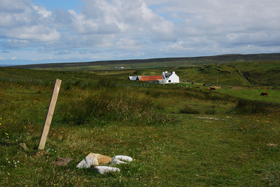 Walk photo