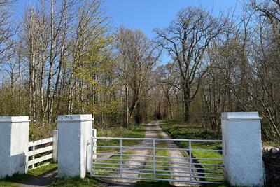 Walk photo