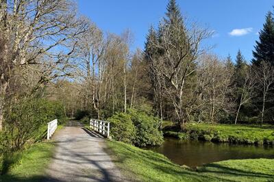 Walk photo