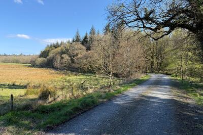 Walk photo