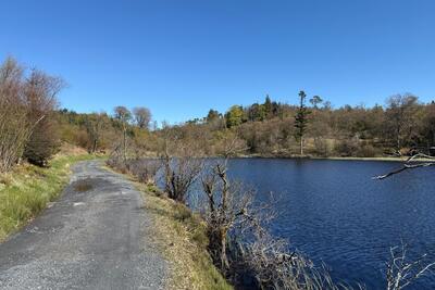Walk photo