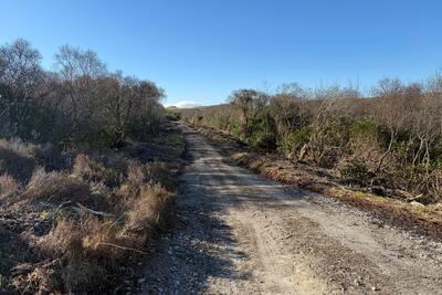 Walk photo