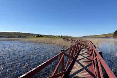 Walk photo
