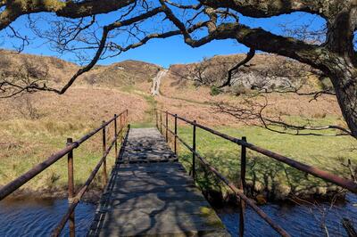 Walk photo