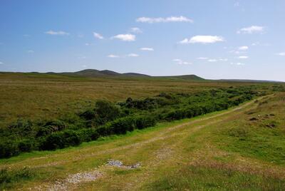 Walk photo