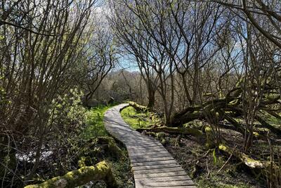 Walk photo