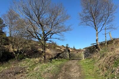 Walk photo