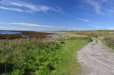 Walk photo
