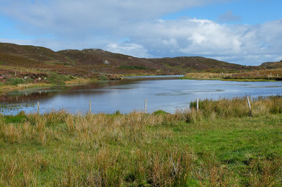 Walk photo