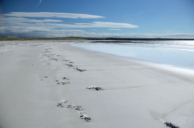 Walk photo