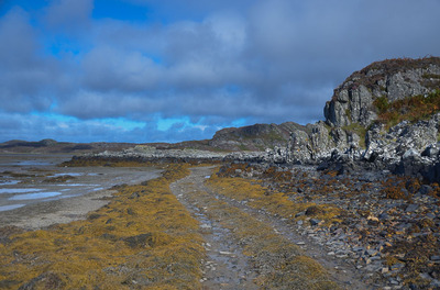 Walk photo